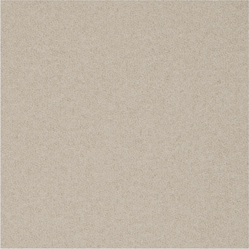 Litta - Collezioni Adrenalina